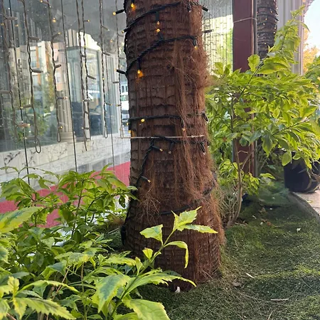 מלון Istanblu Atasehir 3*